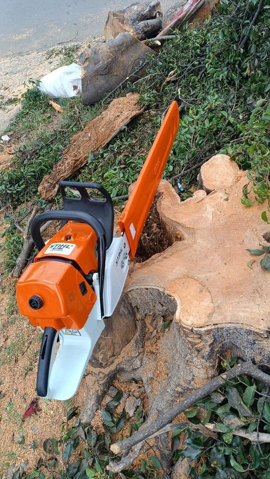 Stihl MS 660 ALEMANA
